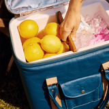 25L Box Cooler Leather Hard Plastic Inner - Thandana UK